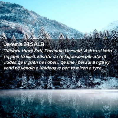 Picture 02 - Jeremia 24:5 ALB - 