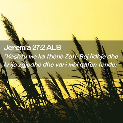 Picture 02 - Jeremia 27:2 ALB - 