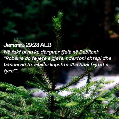 Picture 02 - Jeremia 29:28 ALB - Në fakt ai na ka dërguar fjalë në Babiloni: - Bible Verse Picture