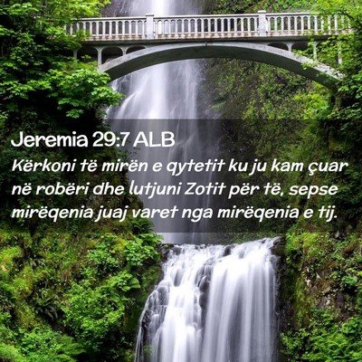 Picture 02 - Jeremia 29:7 ALB - Kërkoni të mirën e qytetit ku ju kam çuar në - Bible Verse Picture