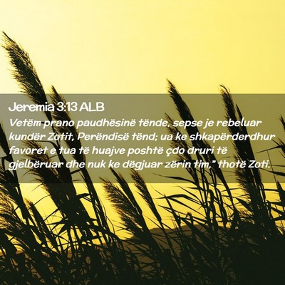 Picture 02 - Jeremia 3:13 ALB - Vetëm prano paudhësinë tënde, sepse je - Bible Verse Picture