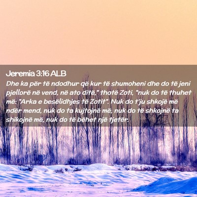 Picture 02 - Jeremia 3:16 ALB - Dhe ka për të ndodhur që kur të shumoheni dhe - Bible Verse Picture