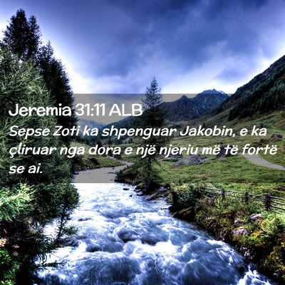 Picture 02 - Jeremia 31:11 ALB - Sepse Zoti ka shpenguar Jakobin, e ka çliruar - Bible Verse Picture
