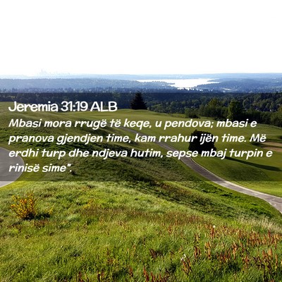 Picture 02 - Jeremia 31:19 ALB - Mbasi mora rrugë të keqe, u pendova; mbasi e - Bible Verse Picture