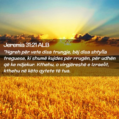 Picture 02 - Jeremia 31:21 ALB - 