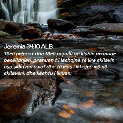 Picture 02 - Jeremia 34:10 ALB - Tërë princat dhe tërë populli që kishin - Bible Verse Picture