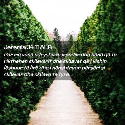 Picture 02 - Jeremia 34:11 ALB - Por më vonë ndryshuan mendim dhe bënë që të - Bible Verse Picture