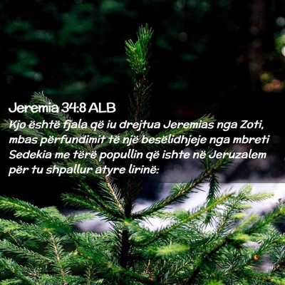 Picture 02 - Jeremia 34:8 ALB - Kjo është fjala që iu drejtua Jeremias nga - Bible Verse Picture