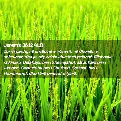 Picture 02 - Jeremia 36:12 ALB - Zbriti pastaj në shtëpinë e mbretit, në - Bible Verse Picture