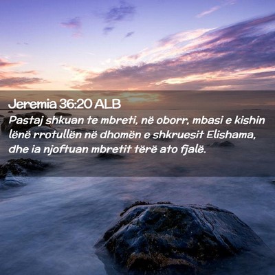 Picture 02 - Jeremia 36:20 ALB - Pastaj shkuan te mbreti, në oborr, mbasi e - Bible Verse Picture