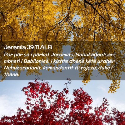 Picture 02 - Jeremia 39:11 ALB - Por për sa i përket Jeremias, Nebukadnetsari, - Bible Verse Picture