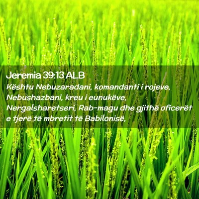Picture 02 - Jeremia 39:13 ALB - Kështu Nebuzaradani, komandanti i rojeve, - Bible Verse Picture