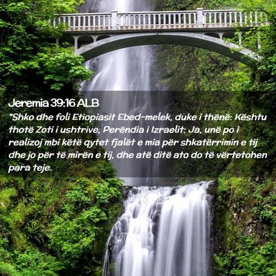Picture 02 - Jeremia 39:16 ALB - 