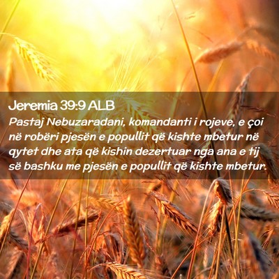 Picture 02 - Jeremia 39:9 ALB - Pastaj Nebuzaradani, komandanti i rojeve, e çoi - Bible Verse Picture