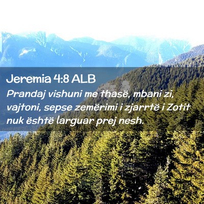 Picture 02 - Jeremia 4:8 ALB - Prandaj vishuni me thasë, mbani zi, vajtoni, - Bible Verse Picture
