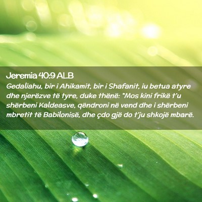 Picture 02 - Jeremia 40:9 ALB - Gedaliahu, bir i Ahikamit, bir i Shafanit, iu - Bible Verse Picture