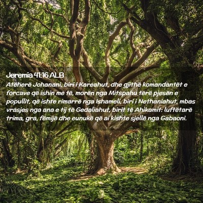 Picture 02 - Jeremia 41:16 ALB - Atëherë Johanani, biri i Kareahut, dhe gjithë - Bible Verse Picture
