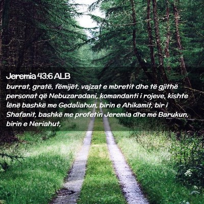 Picture 02 - Jeremia 43:6 ALB - burrat, gratë, fëmijët, vajzat e mbretit dhe - Bible Verse Picture