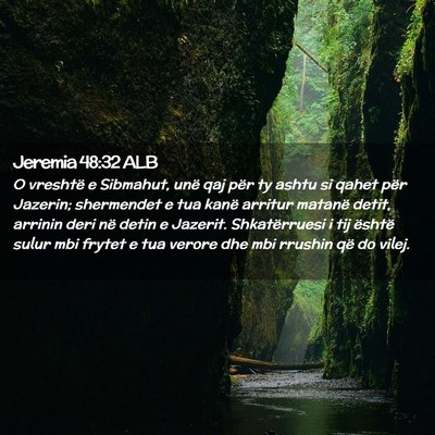 Picture 02 - Jeremia 48:32 ALB - O vreshtë e Sibmahut, unë qaj për ty ashtu si - Bible Verse Picture