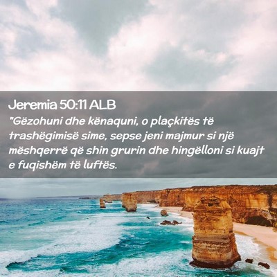 Picture 02 - Jeremia 50:11 ALB - 