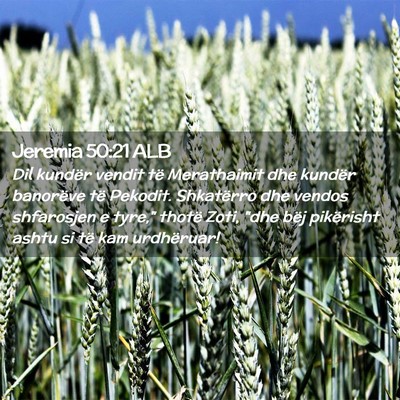 Picture 02 - Jeremia 50:21 ALB - Dil kundër vendit të Merathaimit dhe kundër - Bible Verse Picture