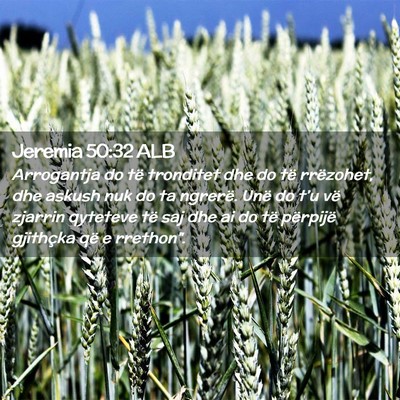 Picture 02 - Jeremia 50:32 ALB - Arrogantja do të tronditet dhe do të rrëzohet, - Bible Verse Picture