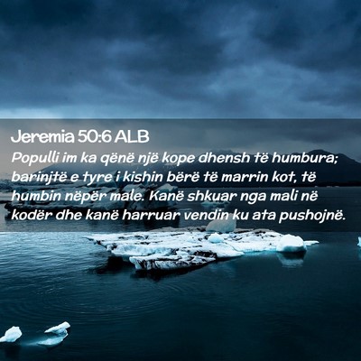 Picture 02 - Jeremia 50:6 ALB - Populli im ka qënë një kope dhensh të - Bible Verse Picture