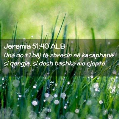 Picture 02 - Jeremia 51:40 ALB - Unë do t’i bëj të zbresin në kasaphanë si - Bible Verse Picture
