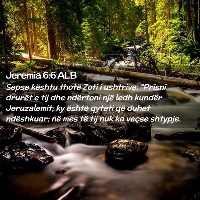 Picture 02 - Jeremia 6:6 ALB - Sepse kështu thotë Zoti i ushtrive: 