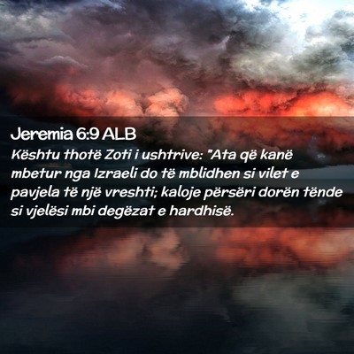 Picture 02 - Jeremia 6:9 ALB - Kështu thotë Zoti i ushtrive: 