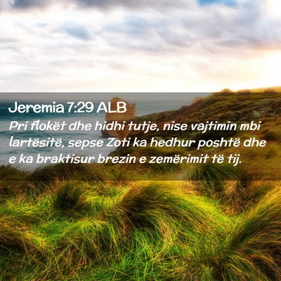 Picture 02 - Jeremia 7:29 ALB - Pri flokët dhe hidhi tutje, nise vajtimin mbi - Bible Verse Picture