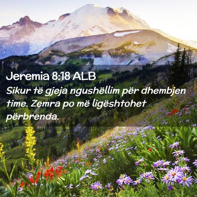 Picture 02 - Jeremia 8:18 ALB - Sikur të gjeja ngushëllim për dhembjen time. - Bible Verse Picture