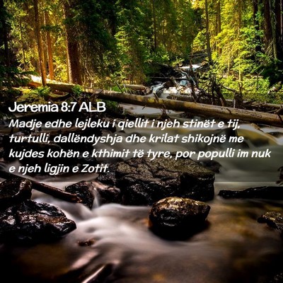 Picture 02 - Jeremia 8:7 ALB - Madje edhe lejleku i qiellit i njeh stinët e - Bible Verse Picture