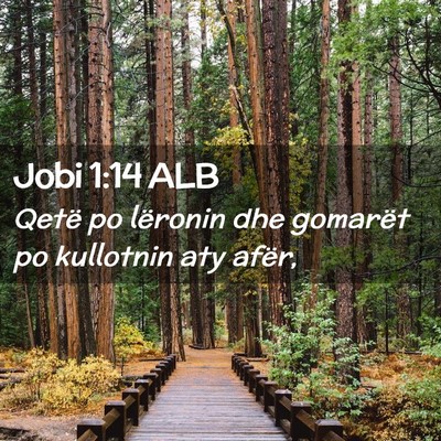 Picture 02 - Jobi 1:14 ALB - Qetë po lëronin dhe gomarët po kullotnin aty - Bible Verse Picture