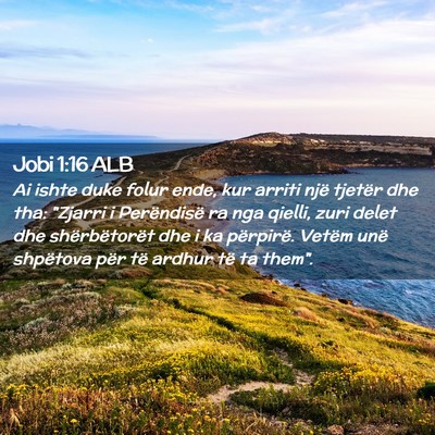 Picture 02 - Jobi 1:16 ALB - Ai ishte duke folur ende, kur arriti një tjetër - Bible Verse Picture