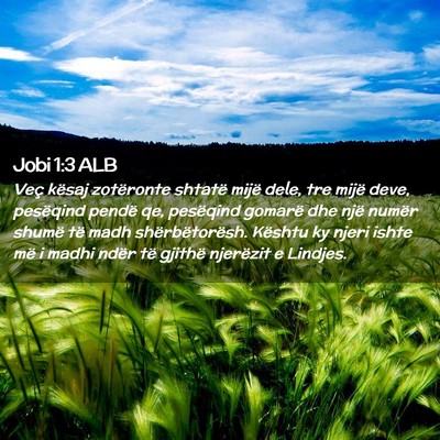 Picture 02 - Jobi 1:3 ALB - Veç kësaj zotëronte shtatë mijë dele, tre - Bible Verse Picture