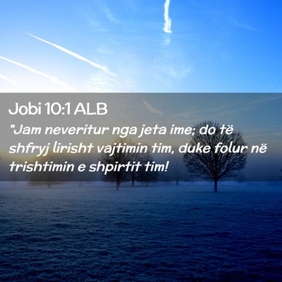 Picture 02 - Jobi 10:1 ALB - 