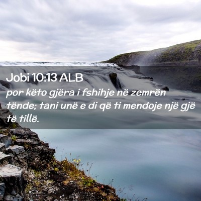 Picture 02 - Jobi 10:13 ALB - por këto gjëra i fshihje në zemrën tënde; - Bible Verse Picture