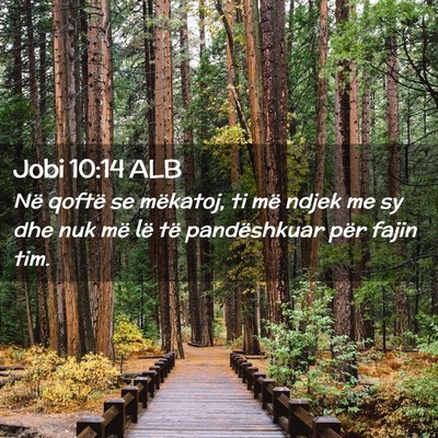 Picture 02 - Jobi 10:14 ALB - Në qoftë se mëkatoj, ti më ndjek me sy dhe - Bible Verse Picture