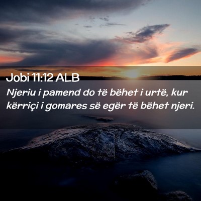 Picture 02 - Jobi 11:12 ALB - Njeriu i pamend do të bëhet i urtë, kur - Bible Verse Picture
