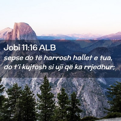 Picture 02 - Jobi 11:16 ALB - sepse do të harrosh hallet e tua, do t’i - Bible Verse Picture