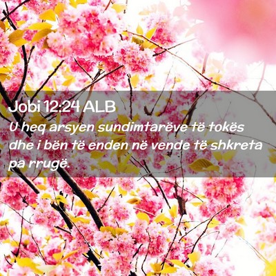Picture 02 - Jobi 12:24 ALB - U heq arsyen sundimtarëve të tokës dhe i bën - Bible Verse Picture
