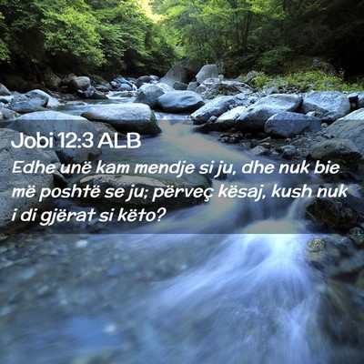 Picture 02 - Jobi 12:3 ALB - Edhe unë kam mendje si ju, dhe nuk bie më - Bible Verse Picture