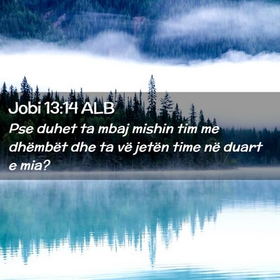 Picture 02 - Jobi 13:14 ALB - Pse duhet ta mbaj mishin tim me dhëmbët dhe ta - Bible Verse Picture