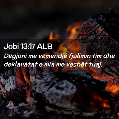 Picture 02 - Jobi 13:17 ALB - Dëgjoni me vëmendje fjalimin tim dhe deklaratat - Bible Verse Picture