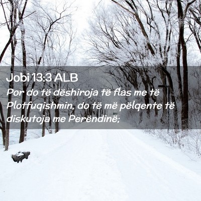 Picture 02 - Jobi 13:3 ALB - Por do të dëshiroja të flas me të - Bible Verse Picture