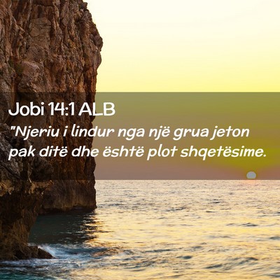 Picture 02 - Jobi 14:1 ALB - 