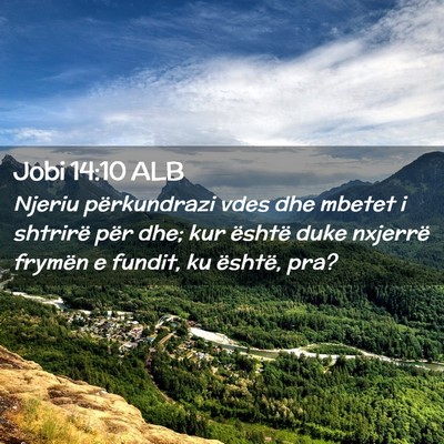 Picture 02 - Jobi 14:10 ALB - Njeriu përkundrazi vdes dhe mbetet i shtrirë - Bible Verse Picture