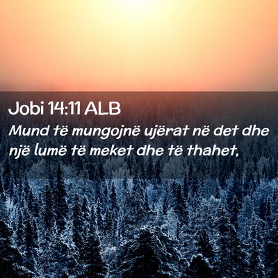 Picture 02 - Jobi 14:11 ALB - Mund të mungojnë ujërat në det dhe një lumë - Bible Verse Picture
