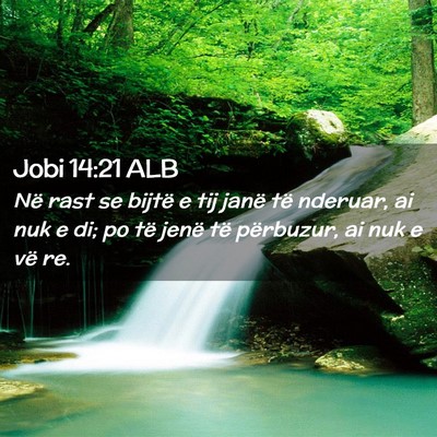 Picture 02 - Jobi 14:21 ALB - Në rast se bijtë e tij janë të nderuar, ai - Bible Verse Picture